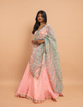 Pink lehenga with pastel sequin dupatta – Organza silk