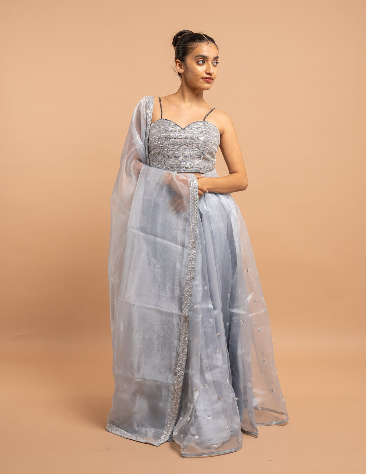 Powder blue lehenga with embroidered blouse – Organza silk