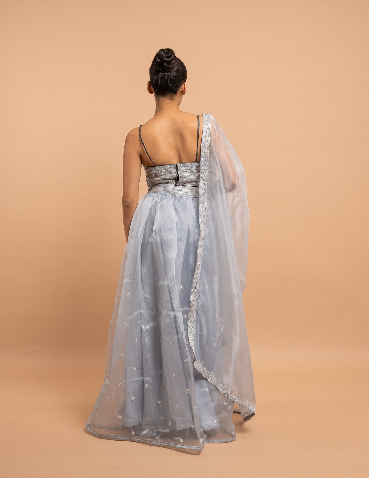 Powder blue lehenga with embroidered blouse – Organza silk